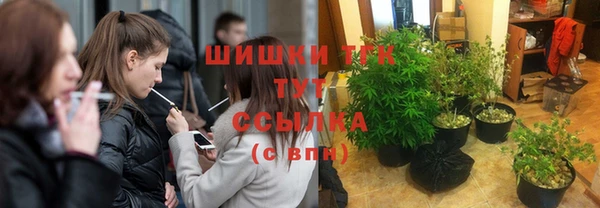 спайс Беломорск