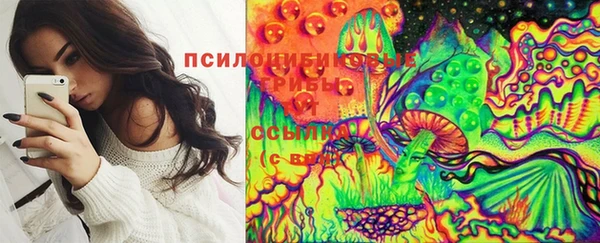 спайс Беломорск