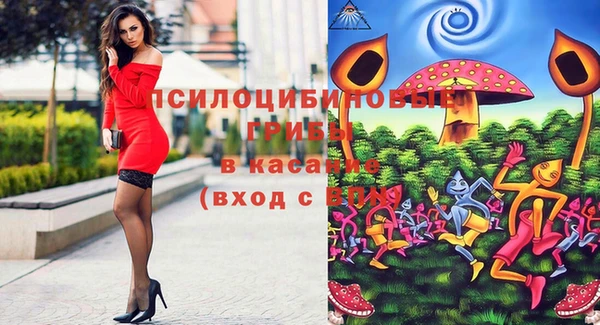 спайс Беломорск