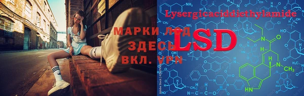 спайс Беломорск