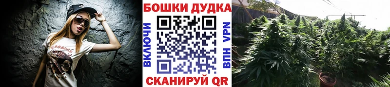 Конопля VHQ  наркотики  Кола 